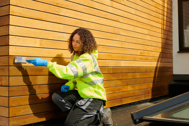 Best Siding Removal and Disposal  in Sauk Rapids, MN